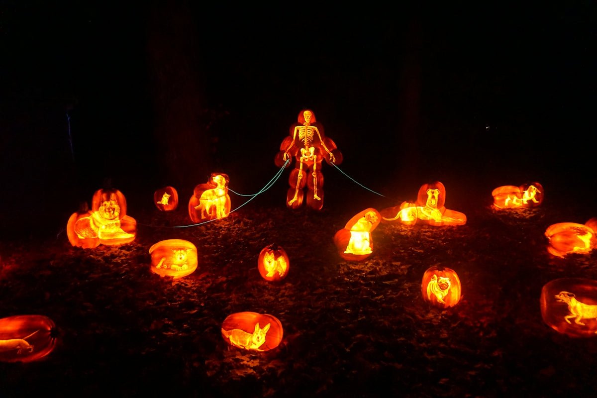 Illuminate Your Style This Halloween with an Antique Glowing Spider Necklace - Prime Street